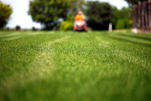 The Ultimate Guide To Turf- Mowing