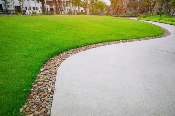 Smooth green grass lawn and gray curve pattern walkway, sand washed finishing on concrete paving with brown gravel border, trees with supporting and shrub in a good care maintenance landscape and garden