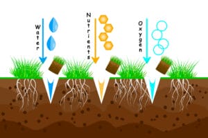 Make Your Yard Look Its Best With These Quick Tips!
