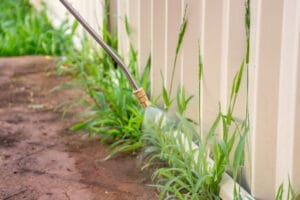 Stop The Invasion! Pre-emergent Lawn Pest Control