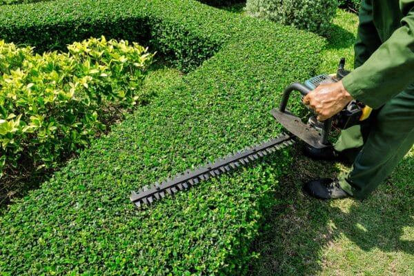 homeguide-lawn-service-trimming-hedges-and-bushes