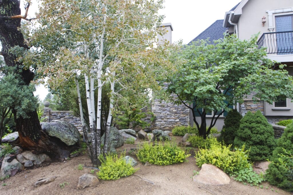 irrigation zebrascapes