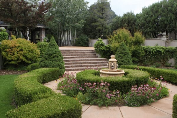 shrub-fertilization