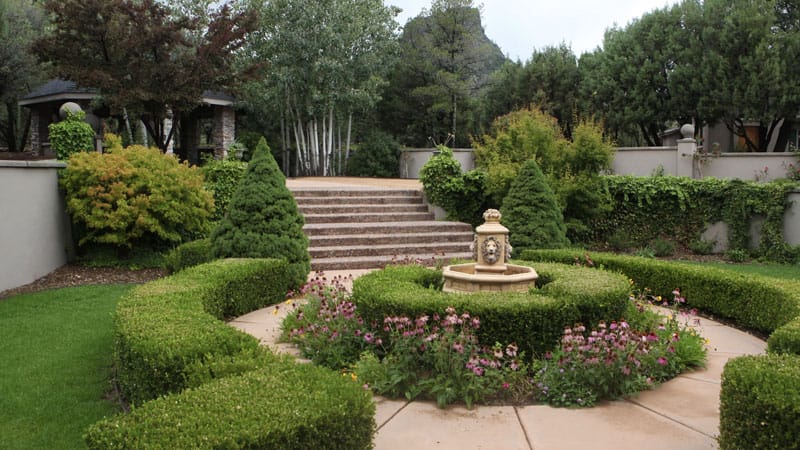 shrub-fertilization