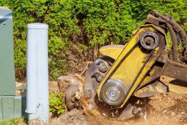 stump-grinding-01