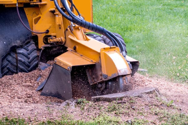 stump-grinding