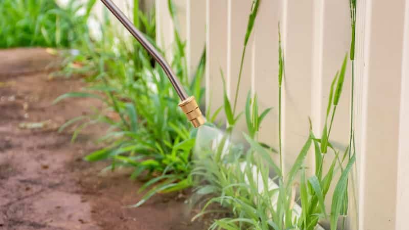 weed-control-zebra-scapes