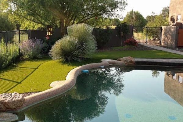 Pool with turf. Outdoor living spaces picture