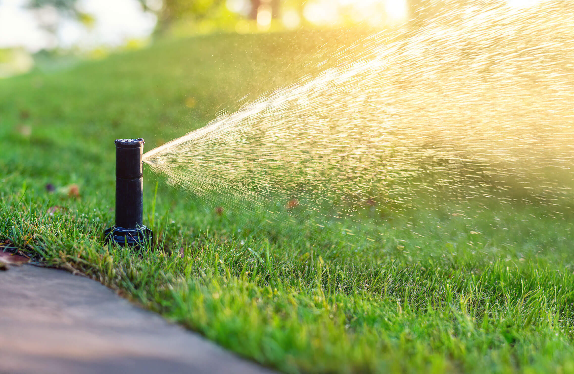 Zebrascapes-Irrigation-Services-Hero