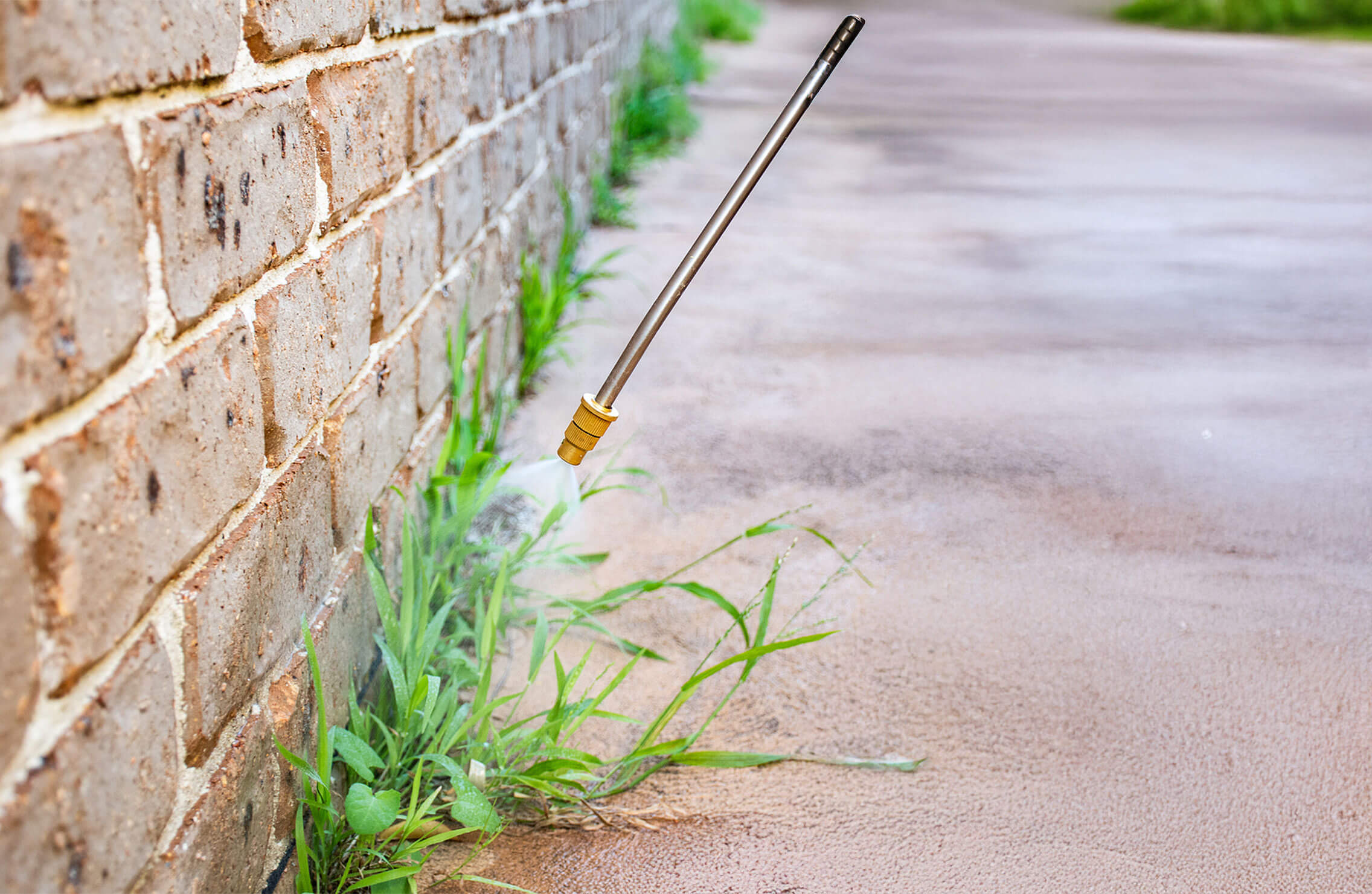 Zebrascapes-Post-Emergent-Weed-Control-Hero