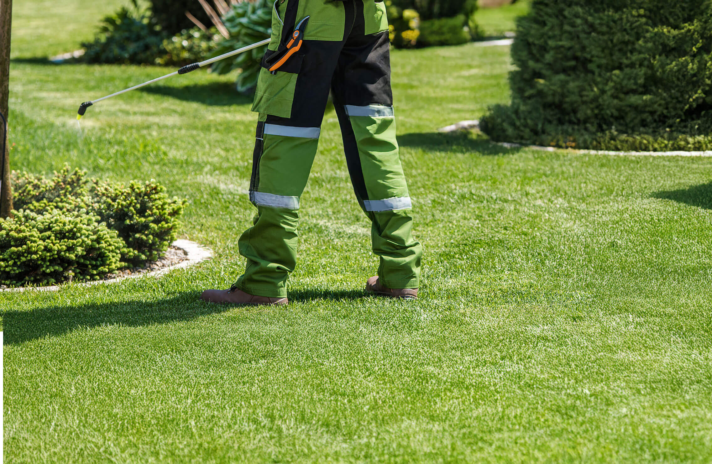 Zebrascapes-Pre-Emergent-Weed-Control-Hero