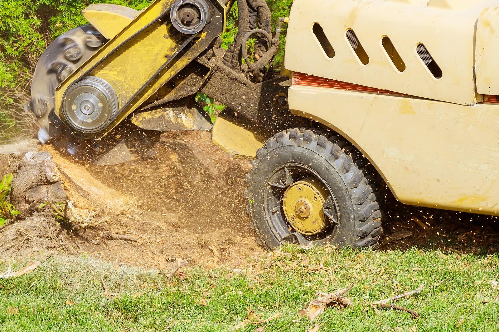 Zebrascapes Tree Stump Removal Hero