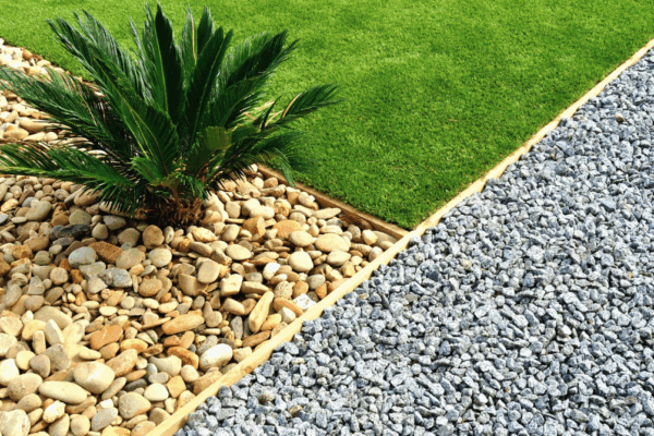 a close up of a plant in brown stones, green grass, and a gravel path