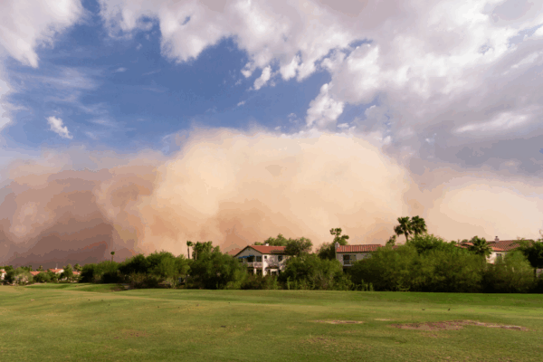 a neighborhood during an approaching dust storm